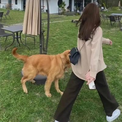 死亡预报